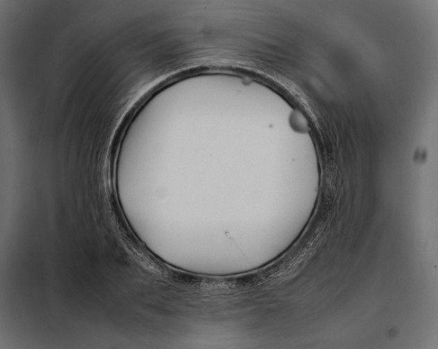 X0000098080887200804251511