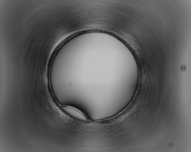 X0000098080888200804251511