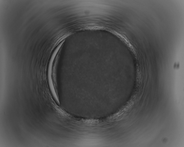 X0000098080889200804251510