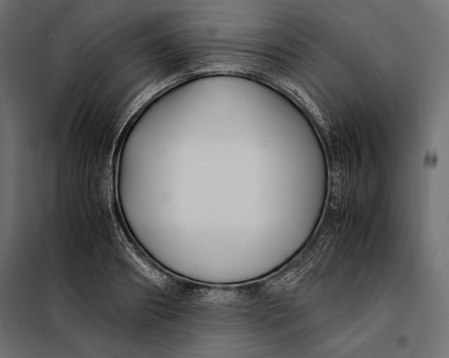 X0000098080890200804251510