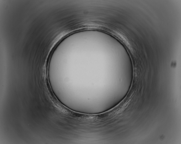 X0000098080891200804251510