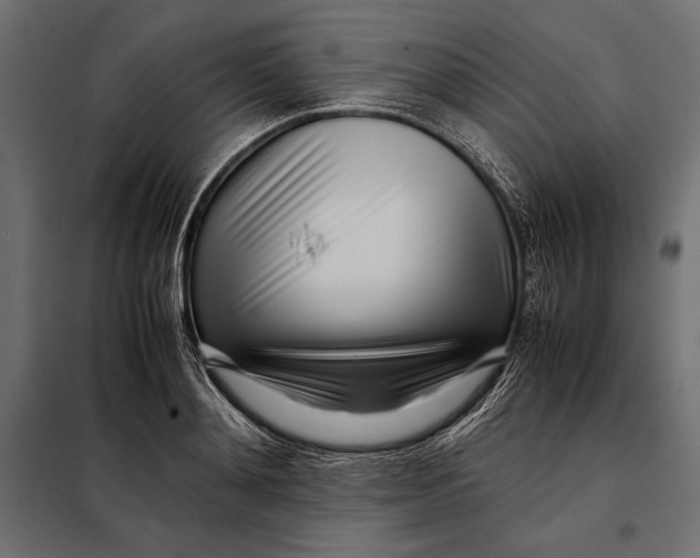 X0000098080892200804251510