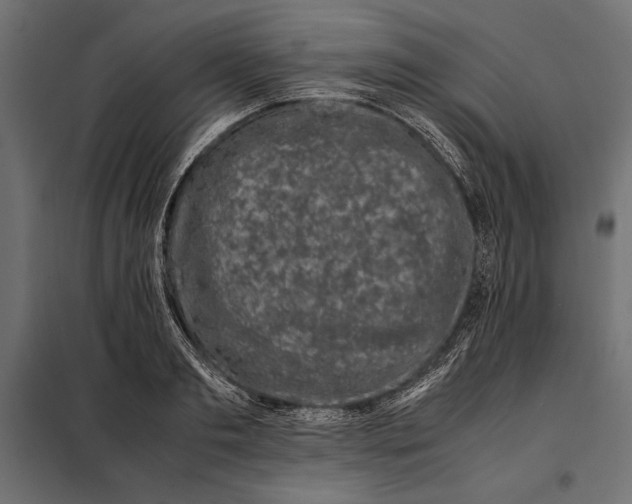 X0000098080893200804251510