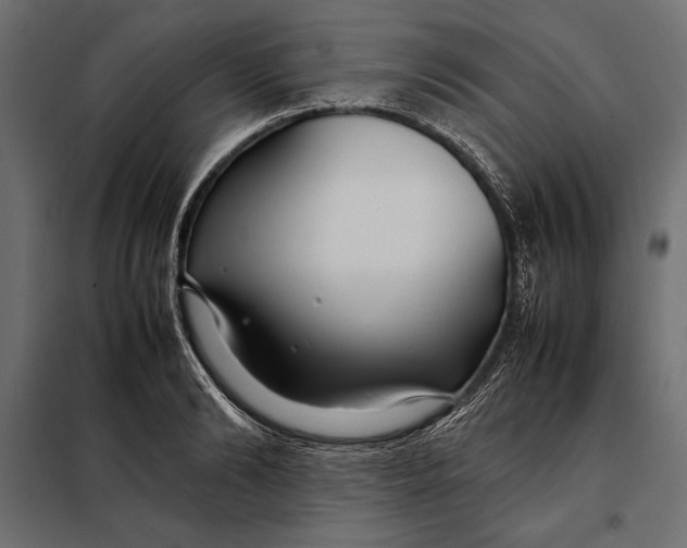 X0000098080894200804251510