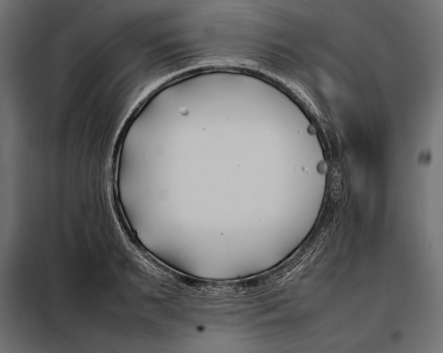 X0000098080895200804251510