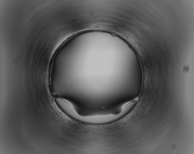 X0000098080896200804251510