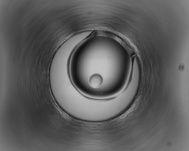 X0000098080897200804251510