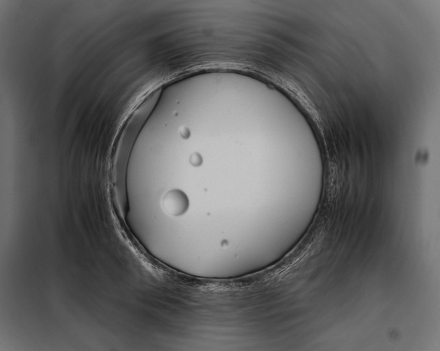 X0000098080898200804251510