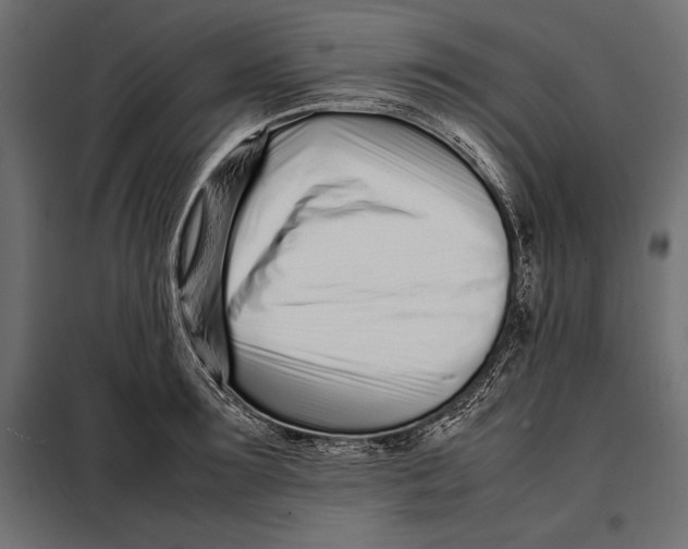 X0000098080899200804251510