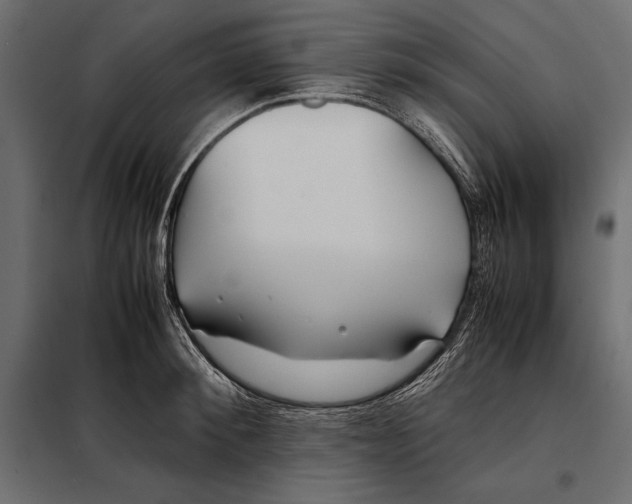 X0000098080900200804251510