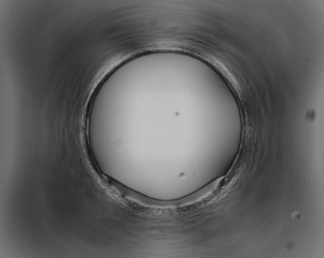 X0000098080901200804251510