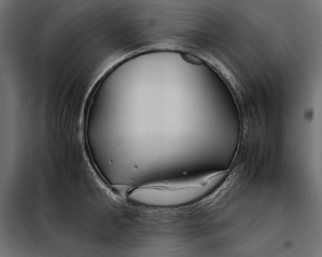 X0000098080902200804251510