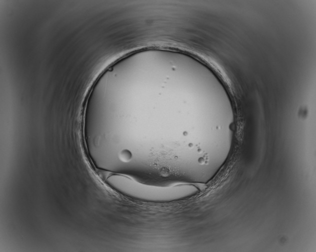 X0000098080903200804251510