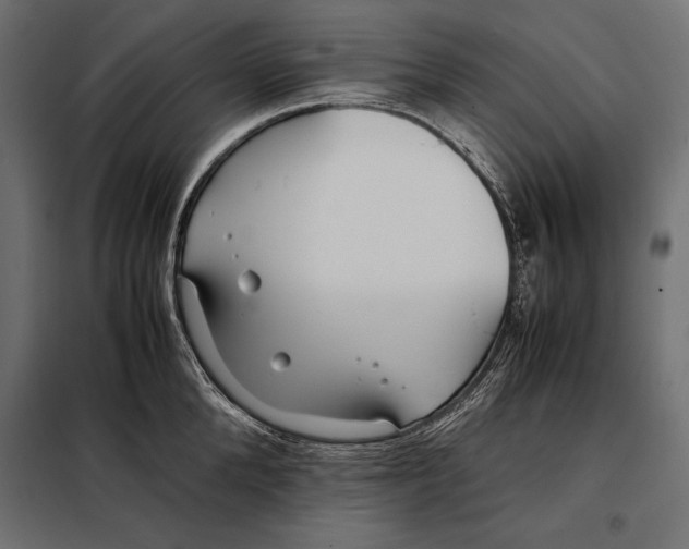 X0000098080904200804251510