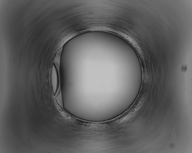 X0000098080905200804251510