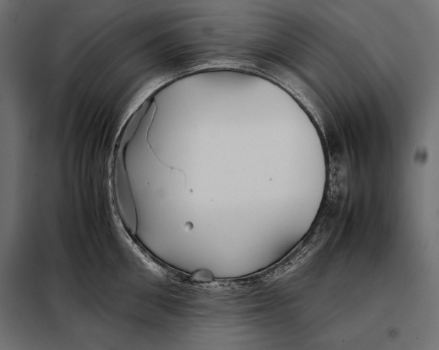 X0000098080906200804251510