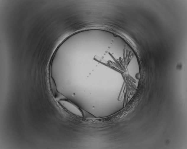 X0000098080907200804251510