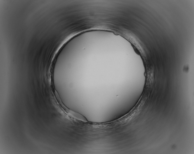 X0000098080908200804251510