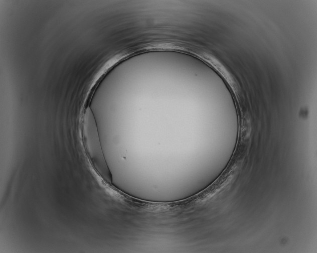 X0000098080909200804251510