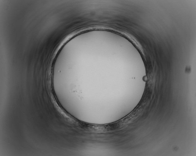 X0000098080911200804251510