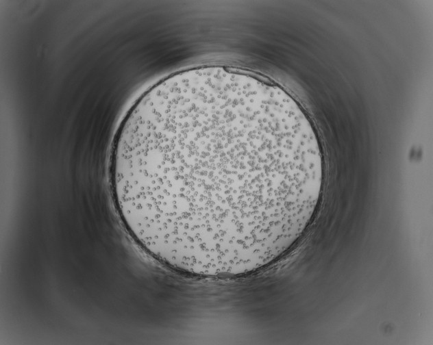 X0000098080912200804251510