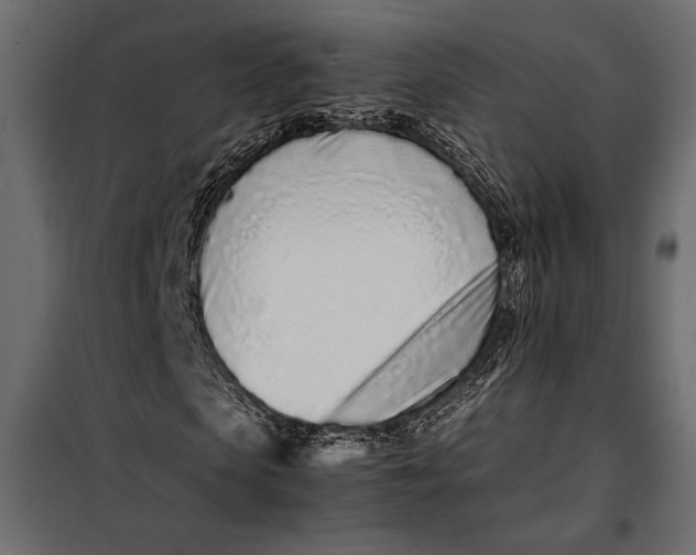 X0000098080913200804251509