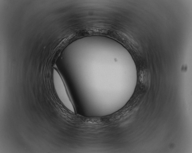 X0000098080915200804251509