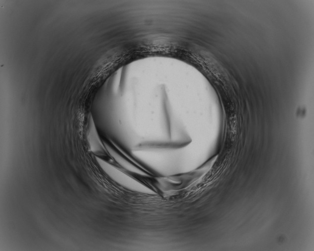 X0000098080916200804251509