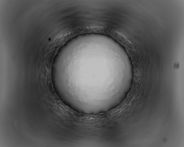 X0000098080917200804251510