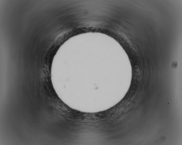 X0000098080918200804251510