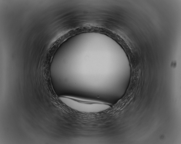 X0000098080919200804251510