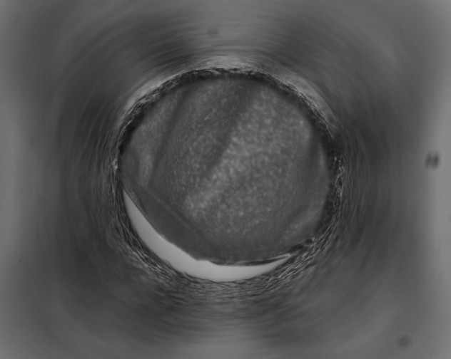 X0000098080920200804251510