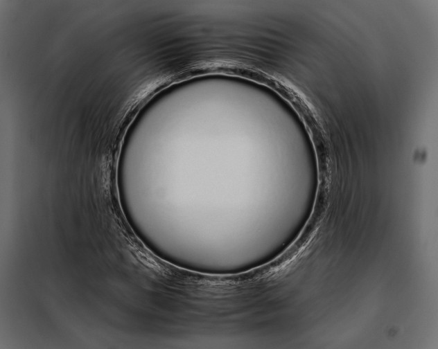 X0000098080921200804251510