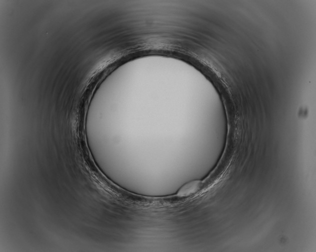 X0000098080922200804251510