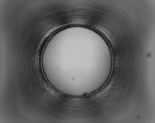 X0000098080923200804251510