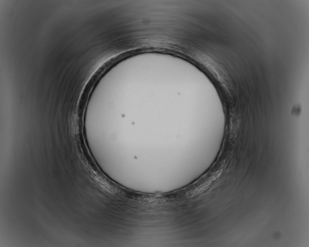 X0000098080924200804251510