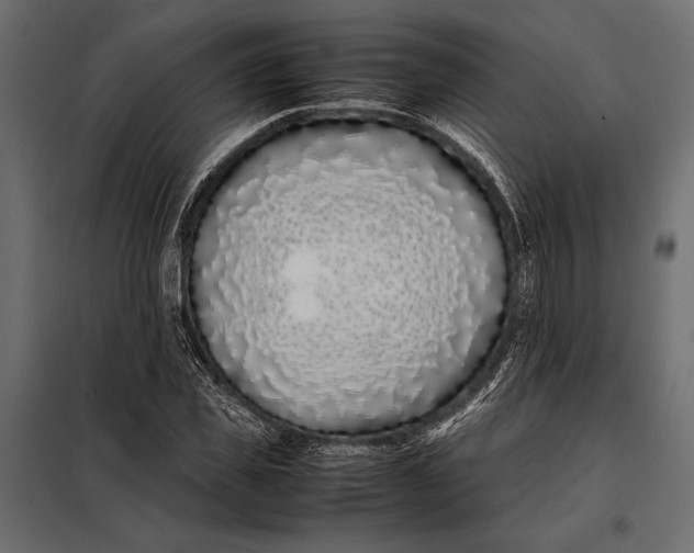 X0000098080925200804251510