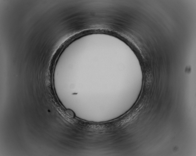 X0000098080927200804251510