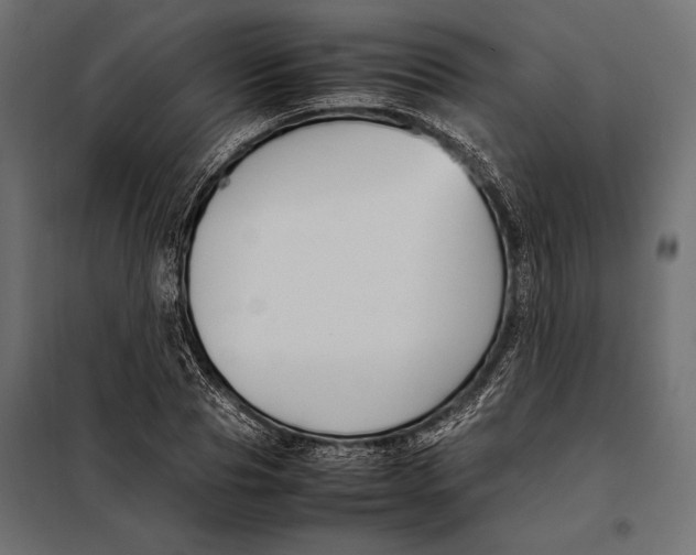 X0000098080929200804251510