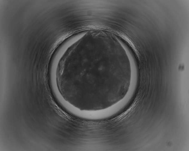 X0000098080930200804251510