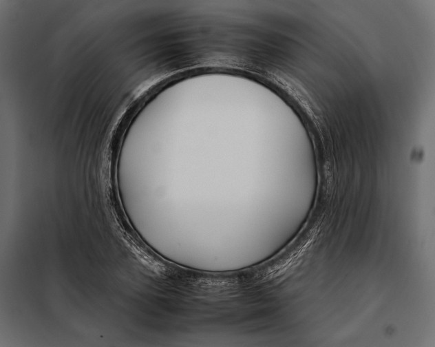 X0000098080931200804251510