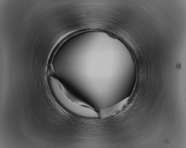 X0000098080932200804251510