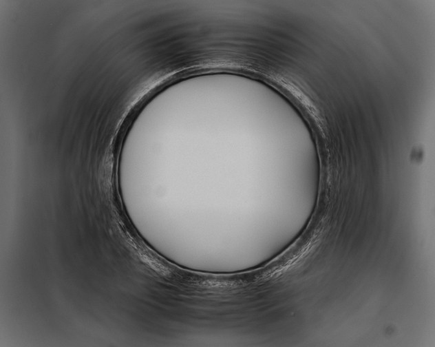 X0000098080933200804251510