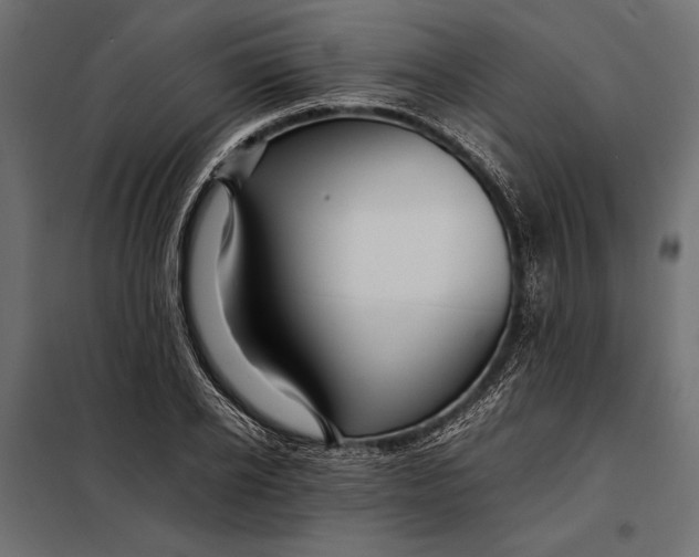 X0000098080934200804251510