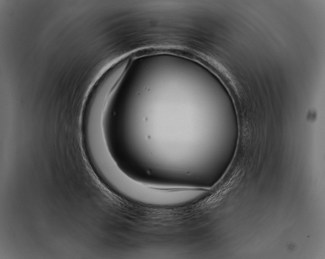 X0000098080935200804251510