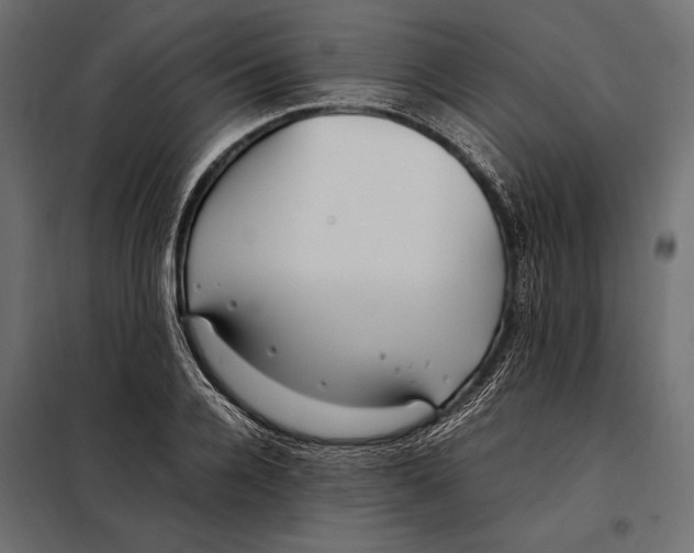 X0000098080936200804251510