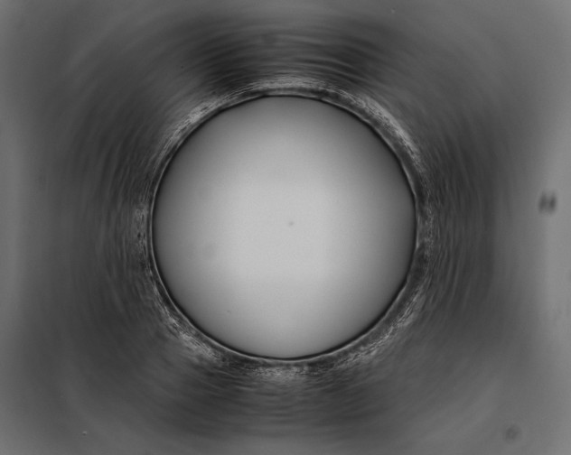 X0000098080937200804251510