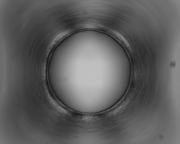 X0000098080938200804251510