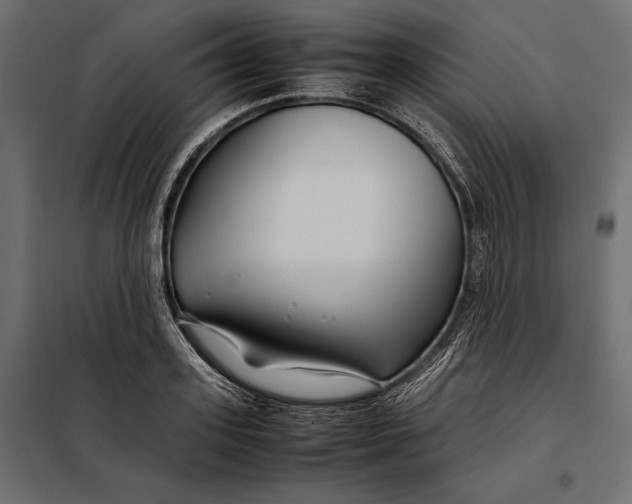 X0000098080939200804251510