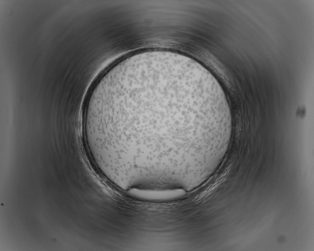 X0000098080940200804251510